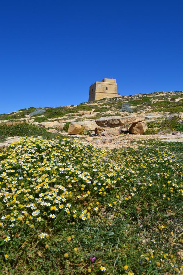 Taljola B&B Għarb Eksteriør bilde